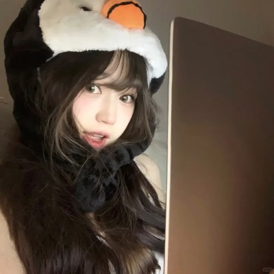 睡觉的笨蛋